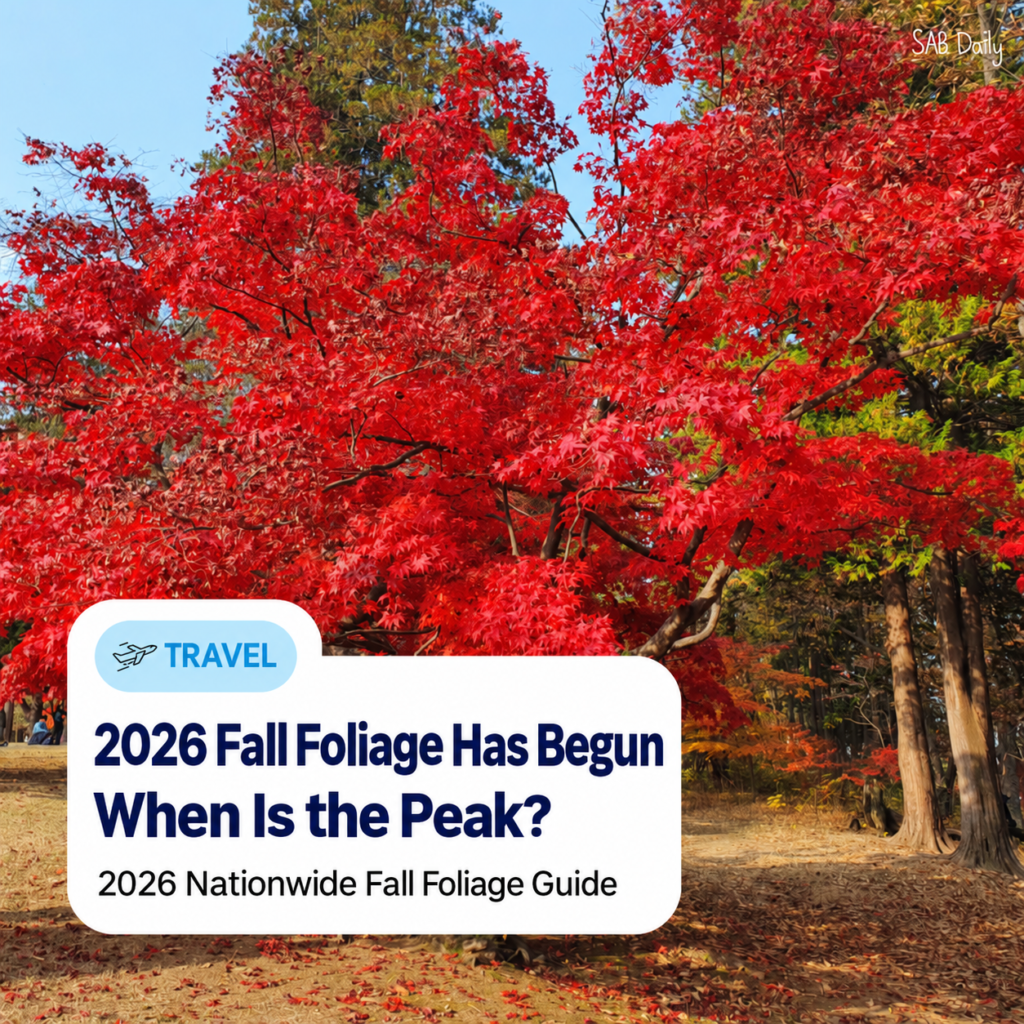 2026 Korea Fall Foliage Guide｜Peak Autumn Colors from Seoraksan to Early November