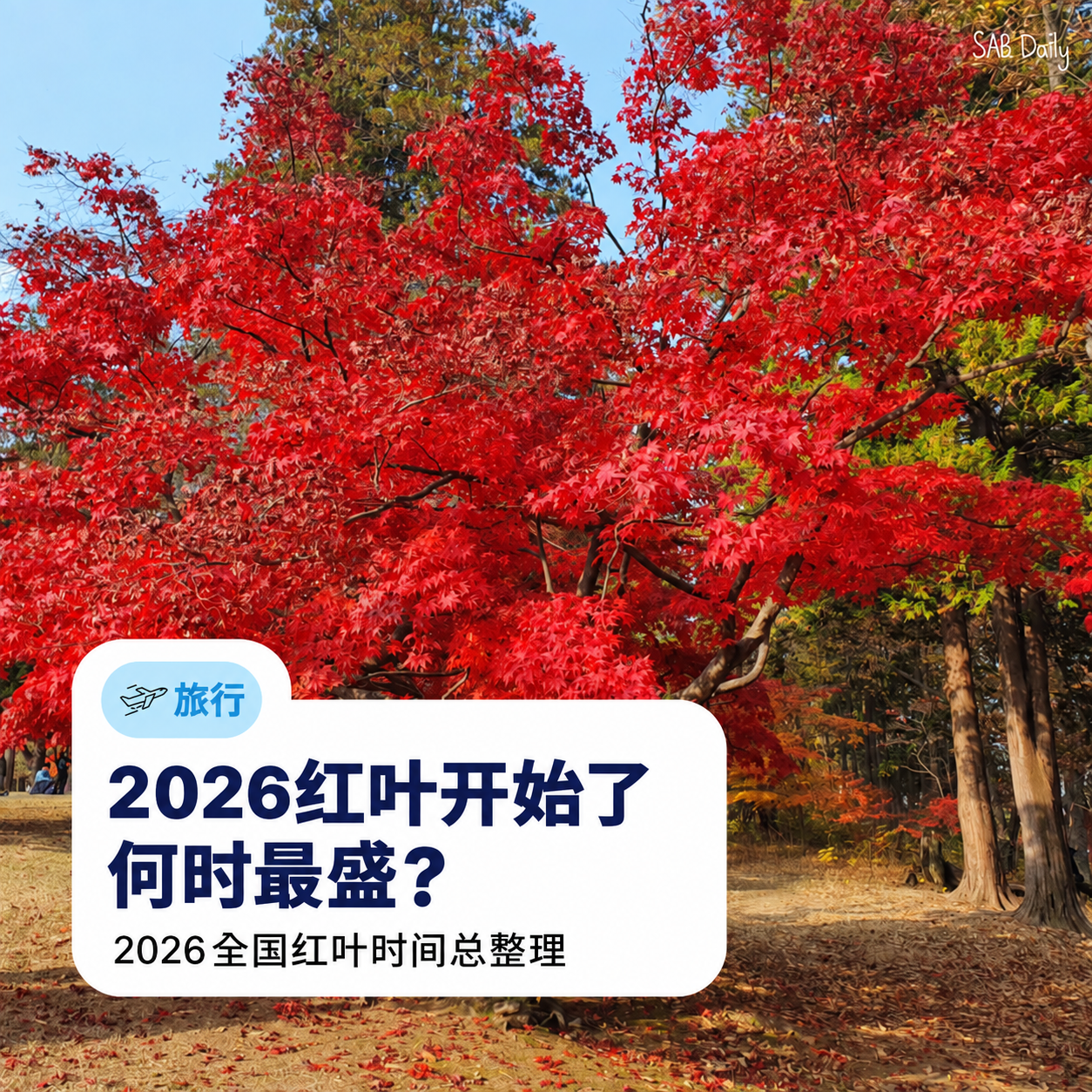 2026韩国红叶时间｜雪岳山初红叶到11月初最佳观赏期