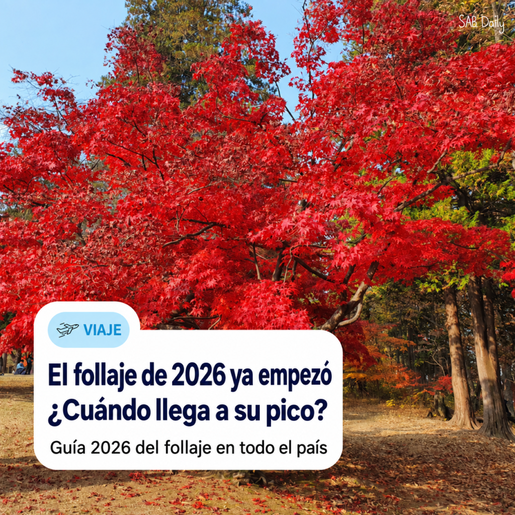 Otoño 2026 en Corea｜Fechas del follaje y pico de color desde Seoraksan hasta noviembre