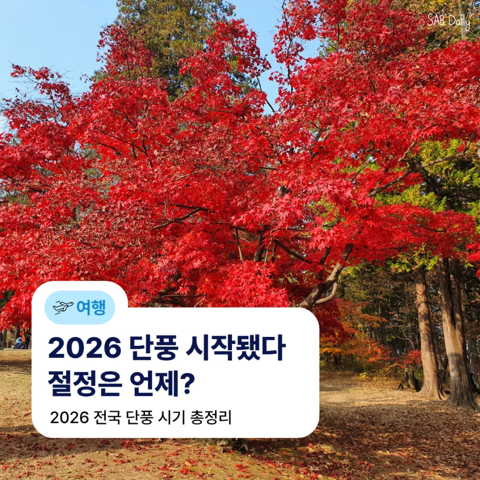 네이버 원문 이미지 1