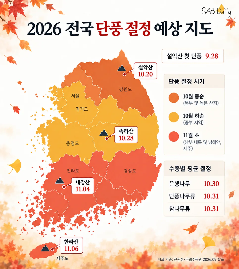 네이버 원문 이미지 5