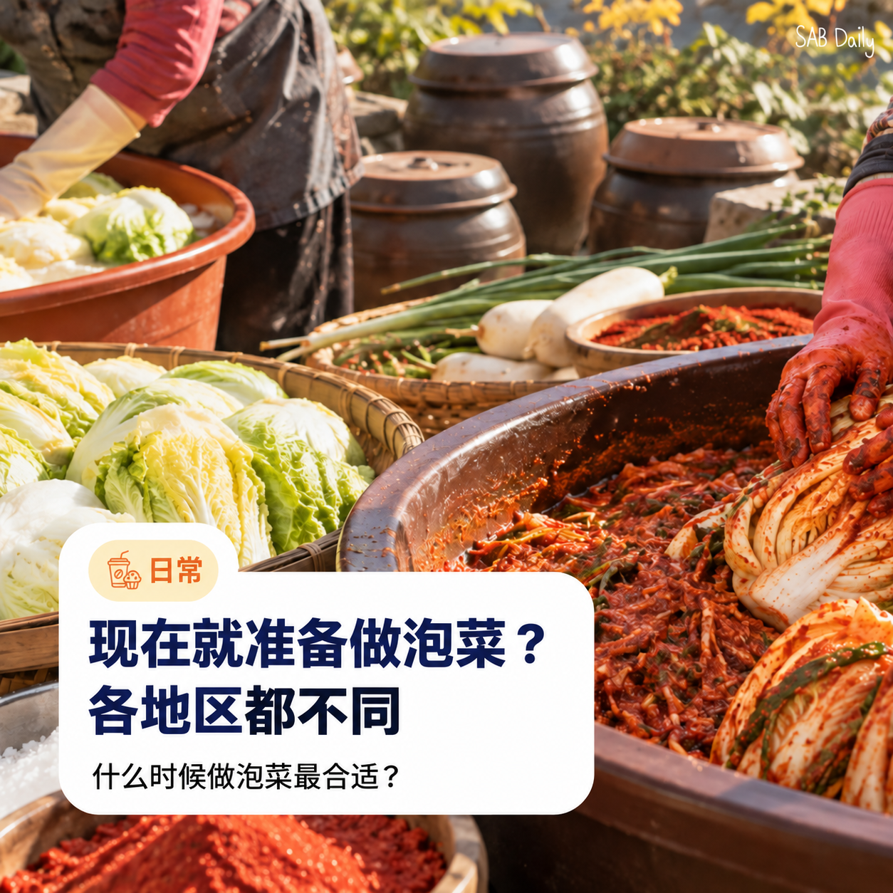 2026年韩国腌泡菜季什么时候开始？各地区时间与盐渍白菜预约指南