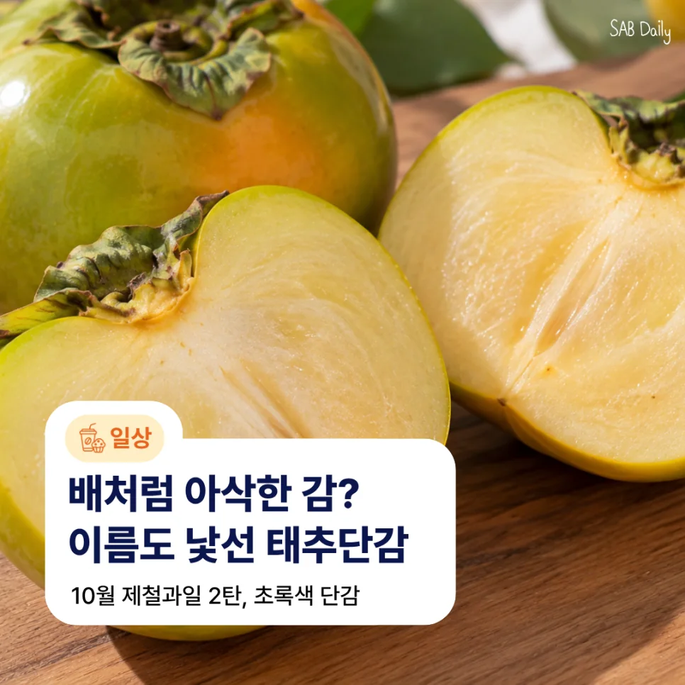 가을 제철 과일 태추단감을 소개하는 이미지
