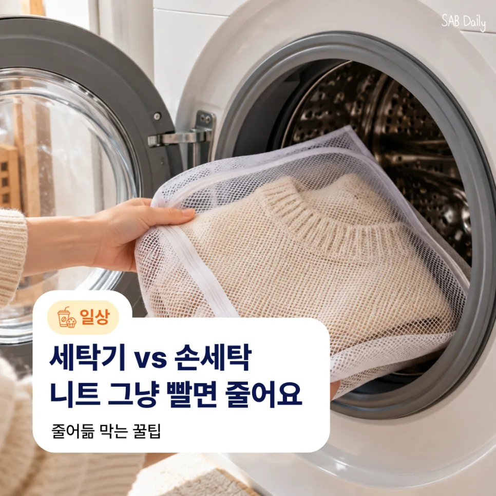 옷장에 넣어뒀던 니트를 하나둘 꺼내 입는