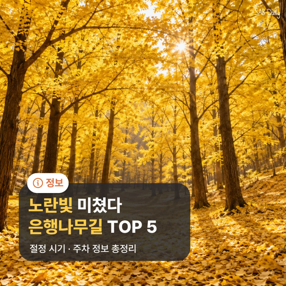 고민하다가, 은행나무 명소 찾아서 정리해봤어요!