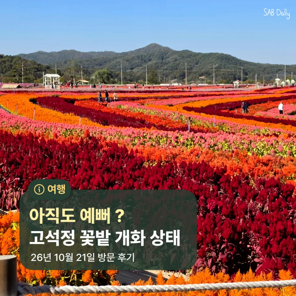 10월 말이 다가오면서