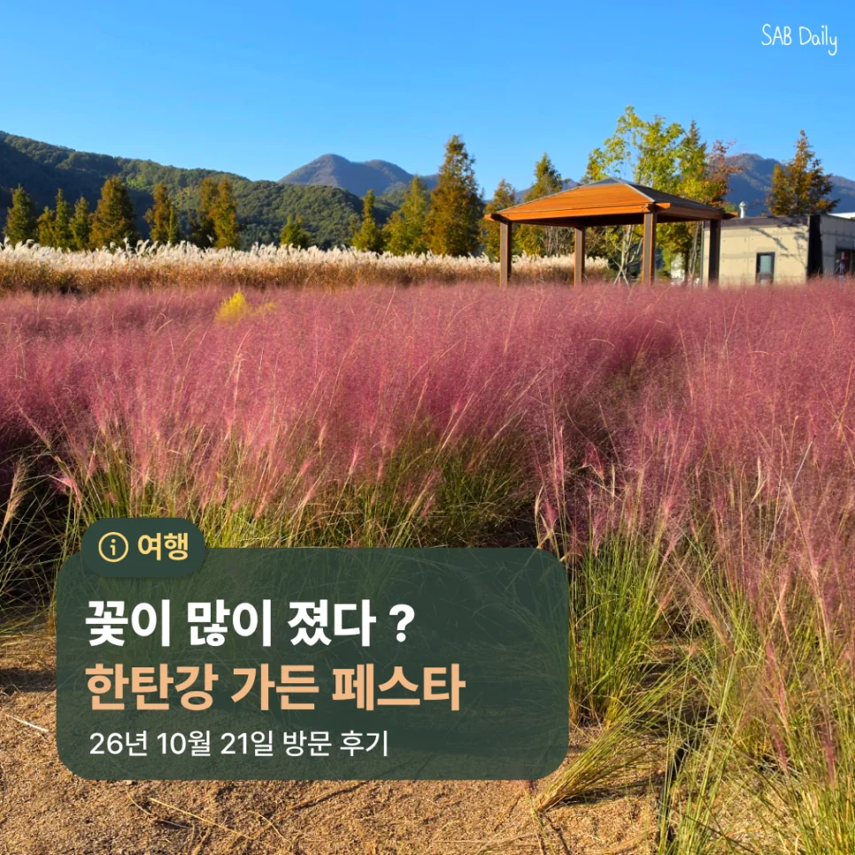 가을 꽃구경을 하러 포천에 다녀왔어요