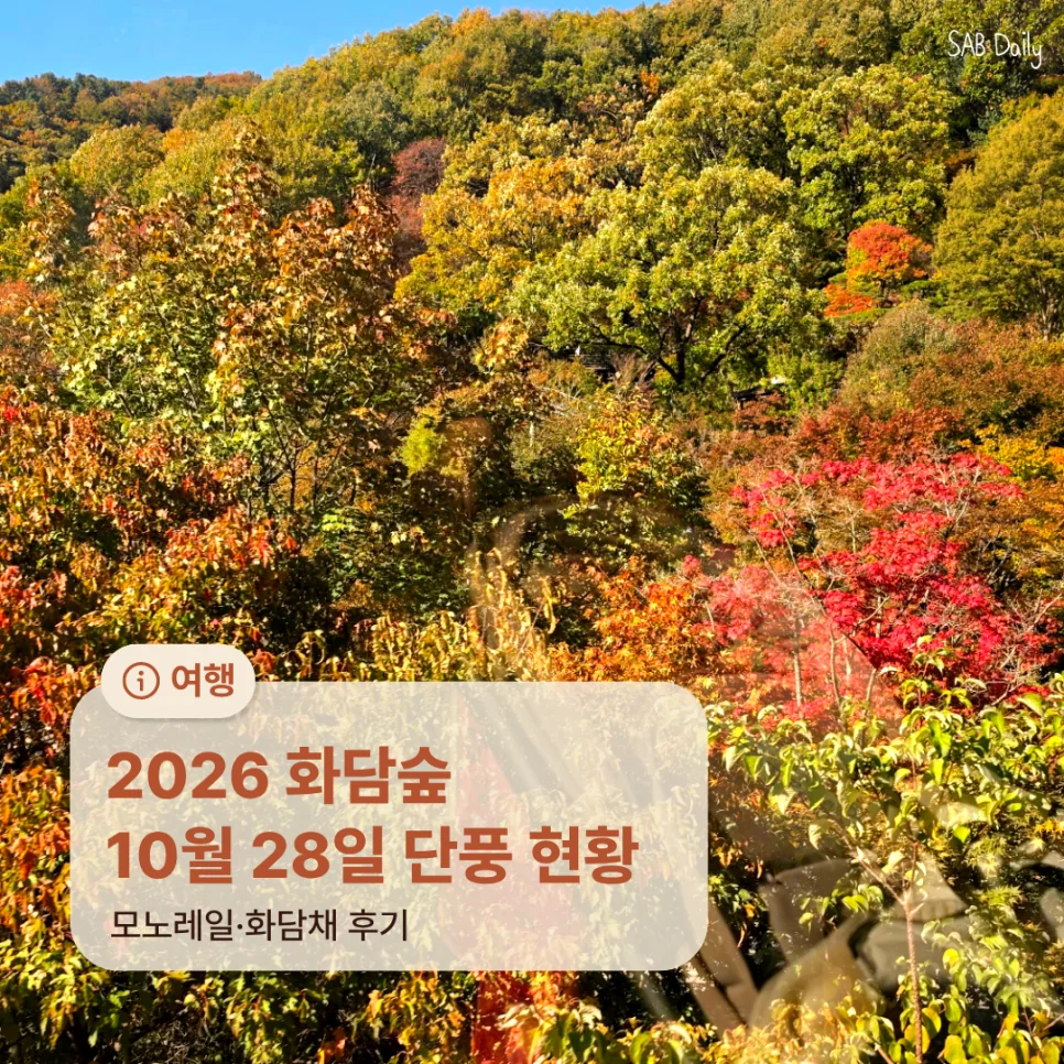 드디어 기다리던 화담숲에 다녀왔어요!