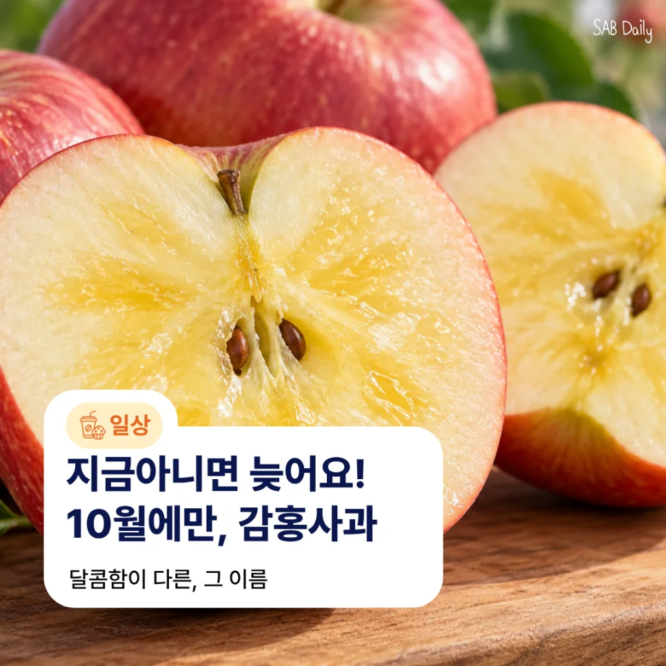 네이버 원문 이미지 1