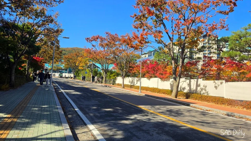 초입부터 단풍이 부쩍 물들어 기대했건만..