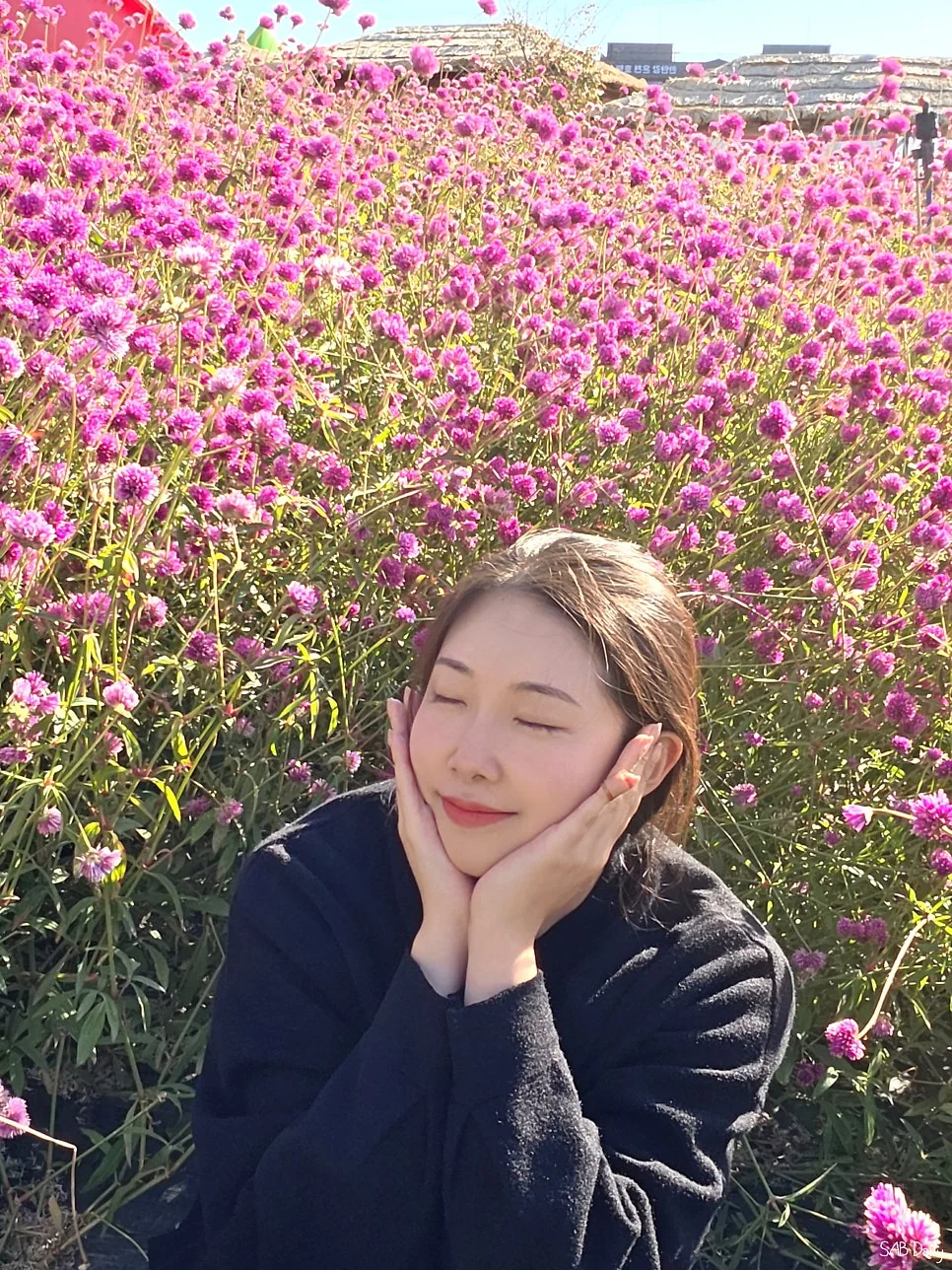 고석정 꽃밭 10월 말에도 가볼 만할까?